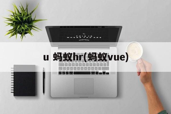 u 蚂蚁hr(蚂蚁vue)