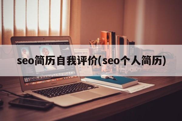 seo简历自我评价(seo个人简历)