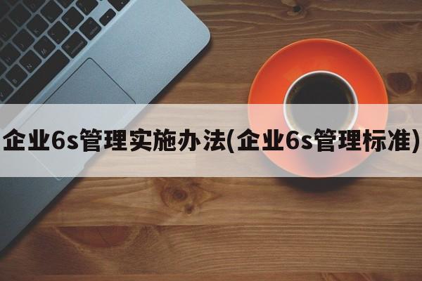 企业6s管理实施办法(企业6s管理标准)